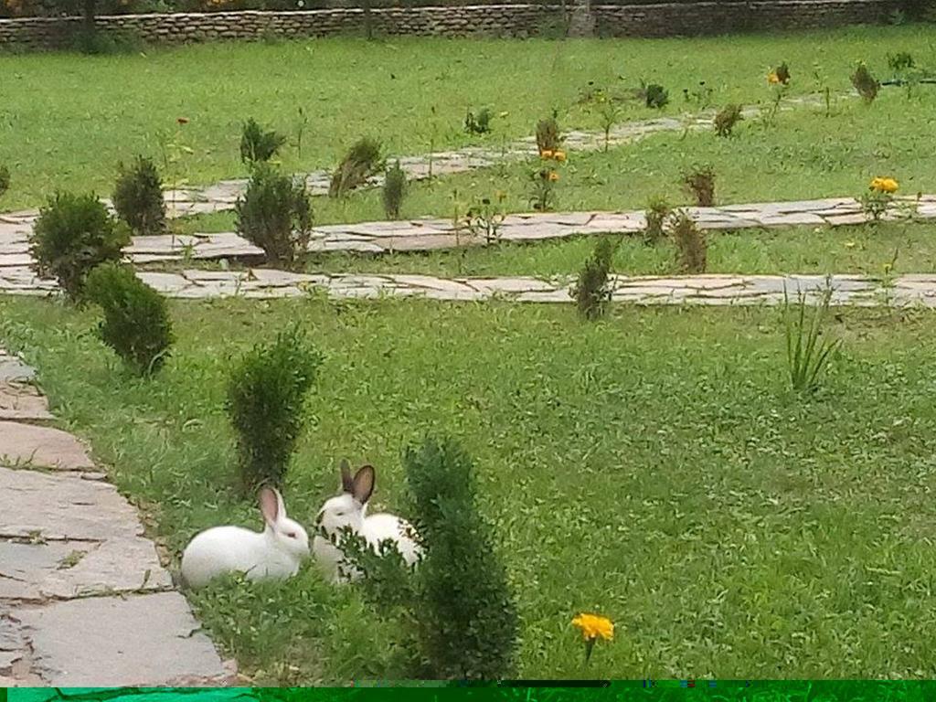 מלון קירקובו Holiday Park Ranchoto מראה חיצוני תמונה